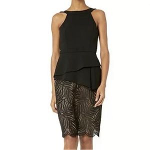 BCBG MAXAZRIA REYA LACE-PANELED DRESS